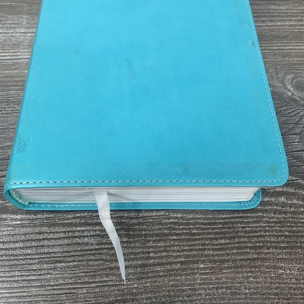 Hendrickson KJV Holy Bible Reference Edition Turquoise Gray Flexisoft Red Letter